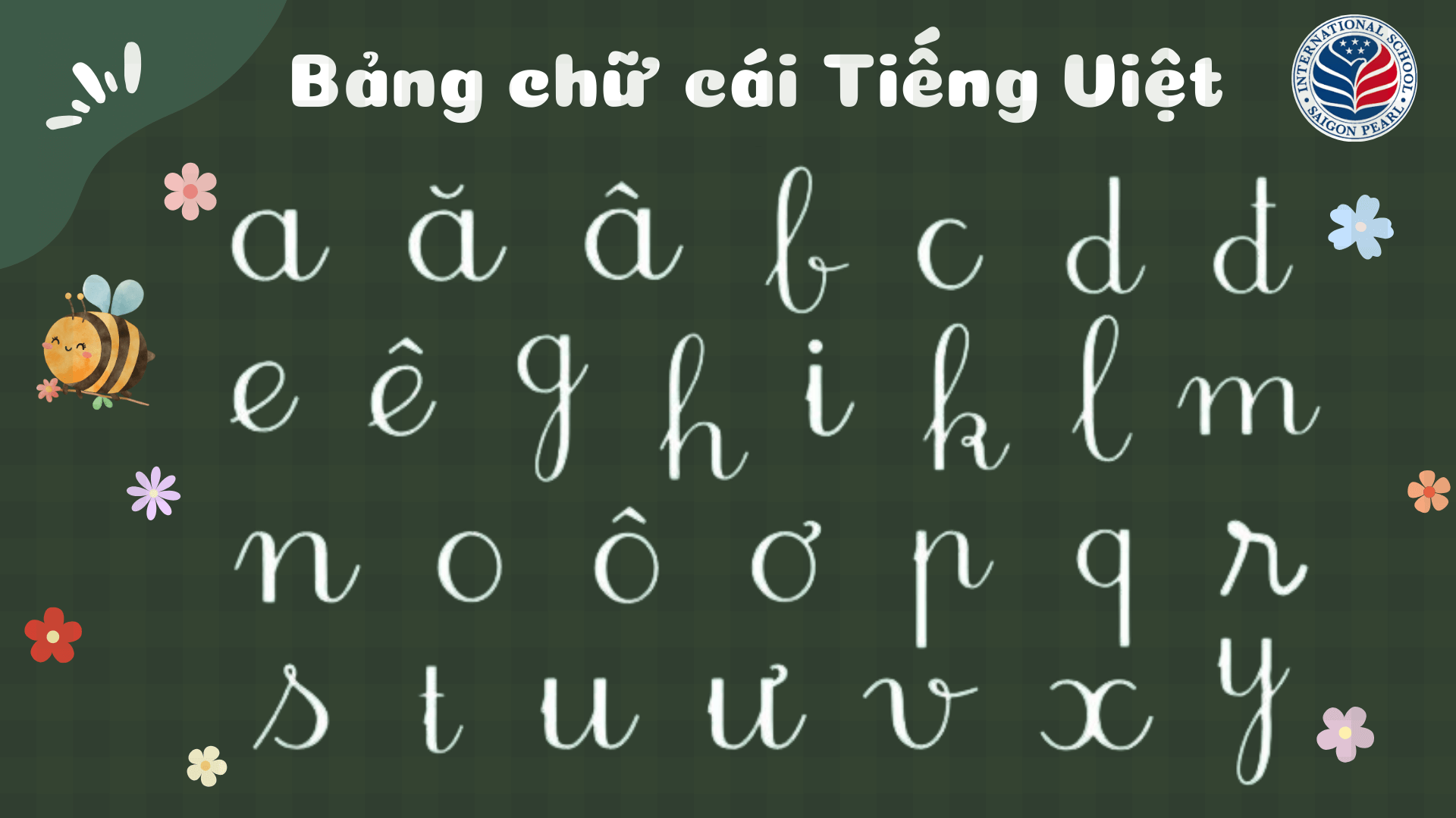 bảng chữ cái tiếng việt 29 chữ